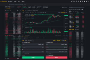 Binance BTC USDT