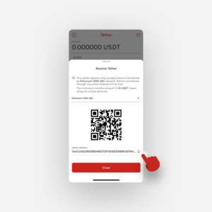 USDT wallet address. swissmoney app